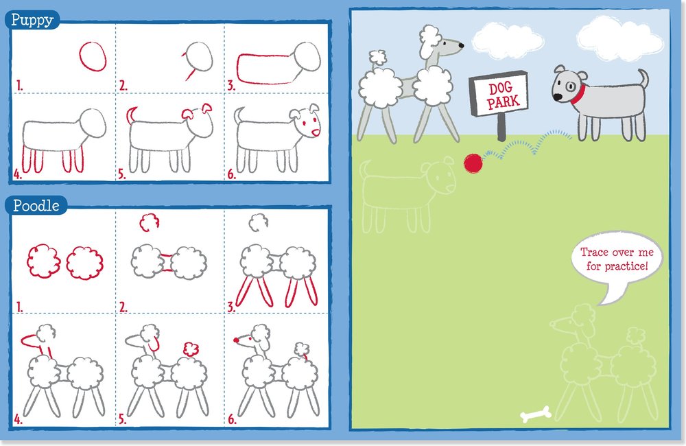 Learn How to Draw Animals Book