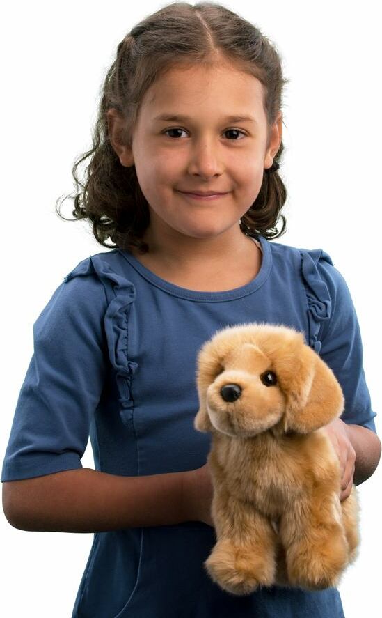 Chap Golden Retriever 10"