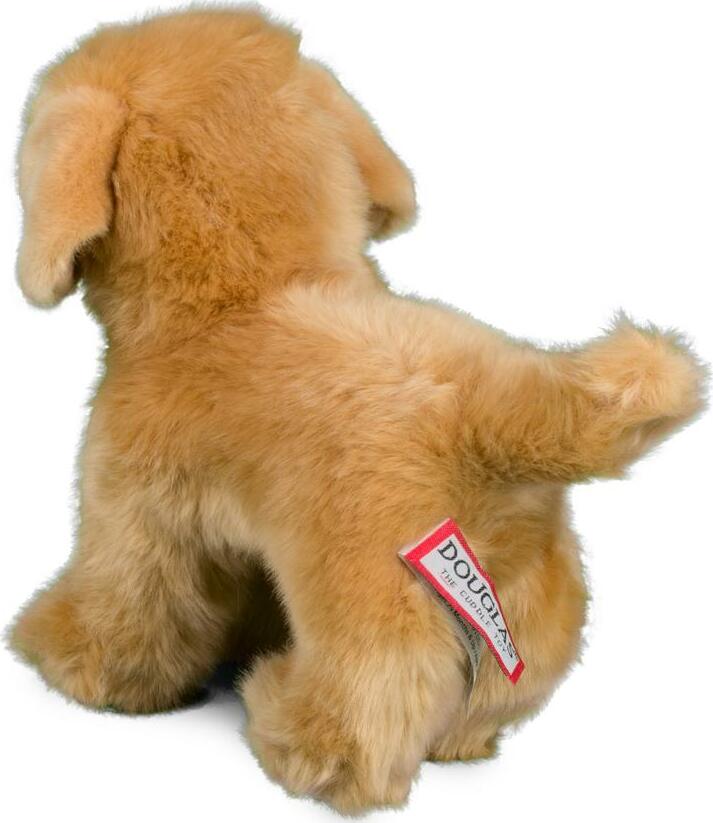 Chap Golden Retriever 10"
