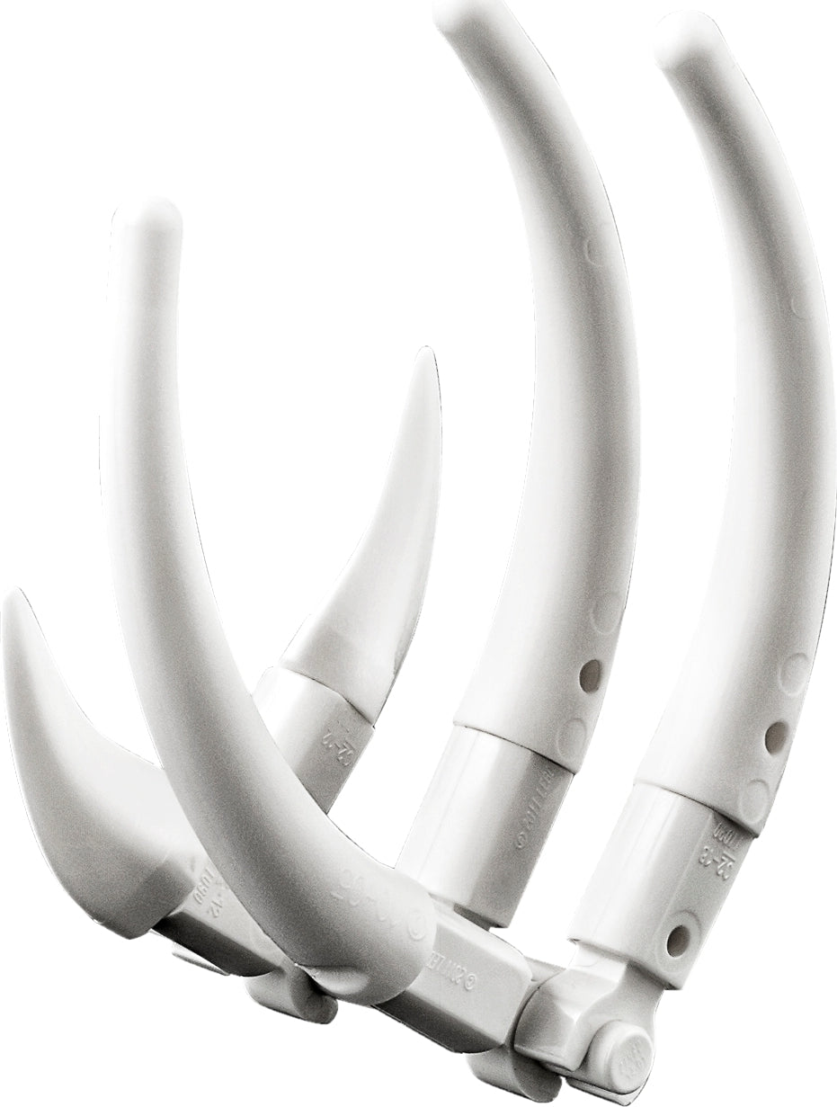 Mighty Dinosaurs Creator