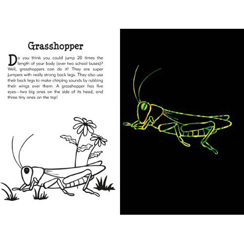 Scratch and Sketch Butterflies & Friends