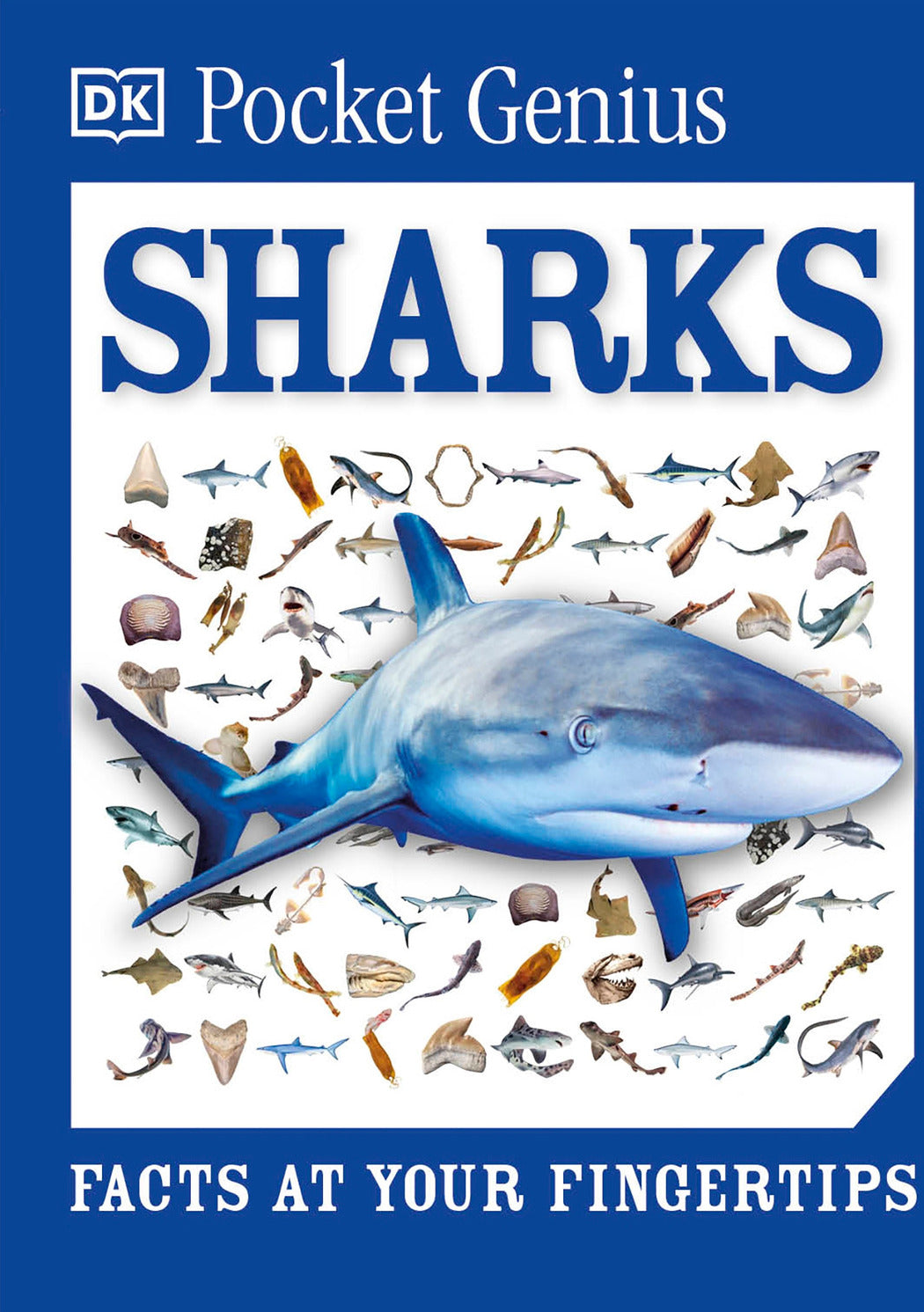 Pocket Genius: Sharks