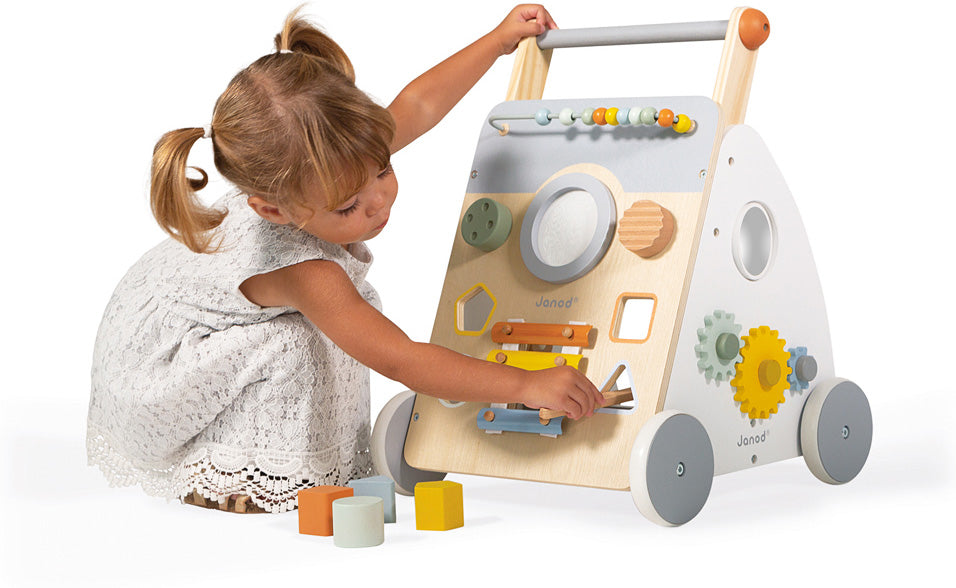 Sweet Cocoon Multi-Activity Baby Walker