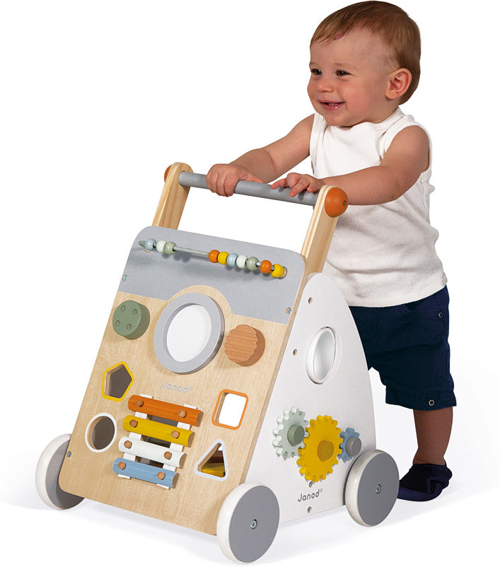 Sweet Cocoon Multi-Activity Baby Walker
