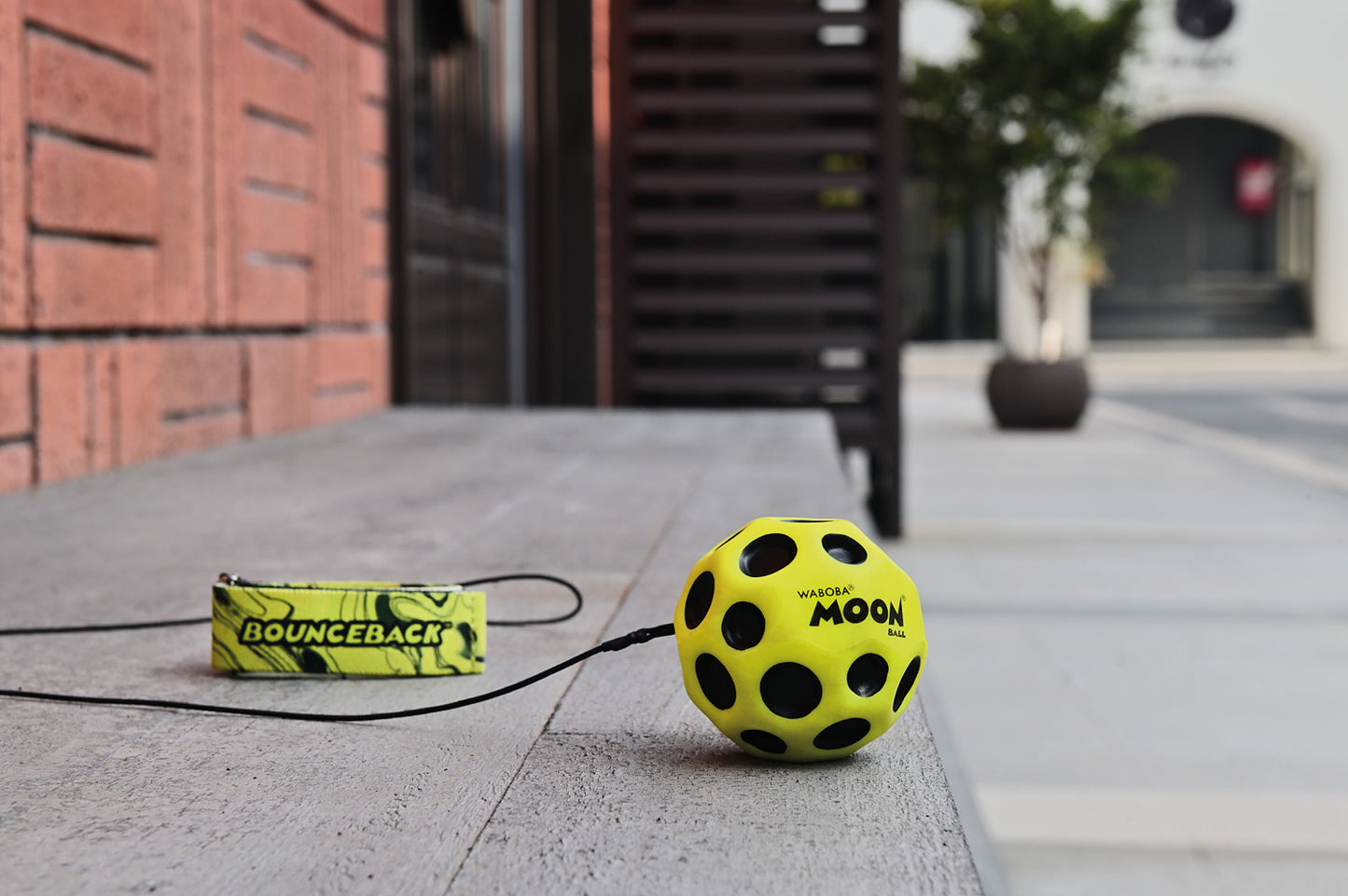 Waboba BounceBack Moonball Leash