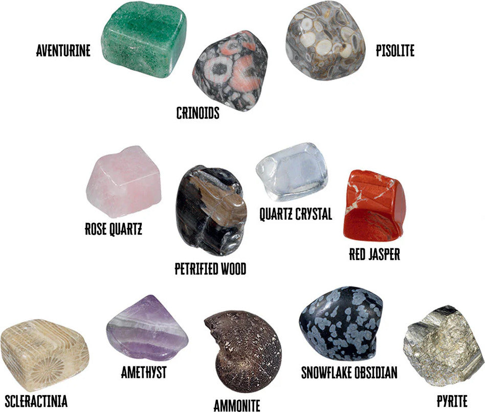 I Dig It! Rocks & Fossils - Mini Excavation