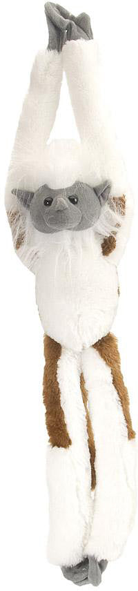 Cotton-Top Tamarin 20"