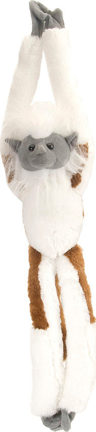 Cotton-Top Tamarin 20"