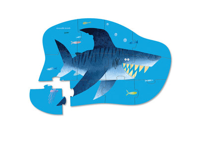 Shark City 12pc Mini