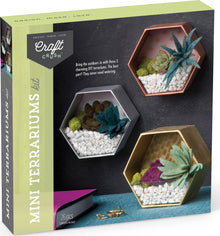 Mini Terrariums Kit