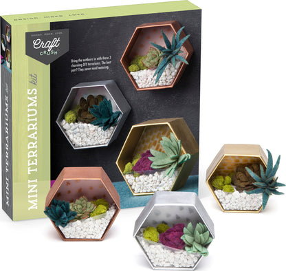 Mini Terrariums Kit
