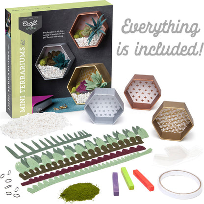 Mini Terrariums Kit