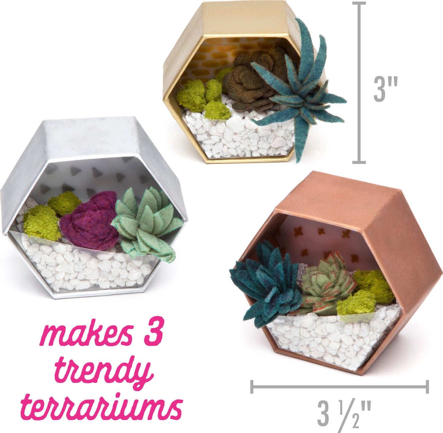 Mini Terrariums Kit