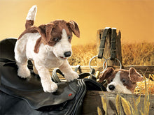 Jack Russell Terrier Puppet