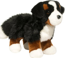 Stevie Bernese Mountain Dog 10"