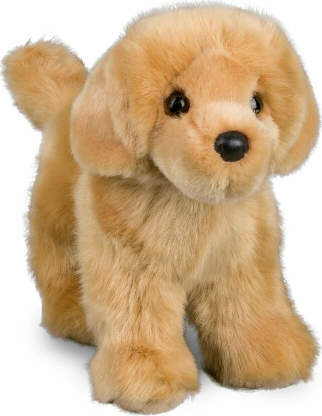 Chap Golden Retriever 10"
