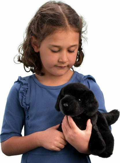 Bear Black Lab 10"