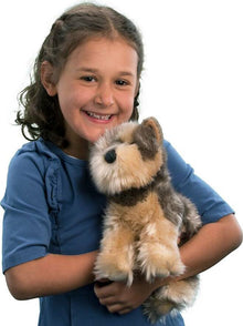 Yettie Yorkie 12"