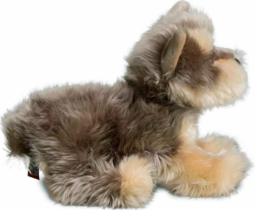 Yettie Yorkie 12"