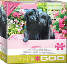 500 pc - Large Puzzle Pieces - Black Labs in Pink Box