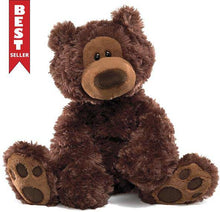 Philbin Chocolate Bear 12"