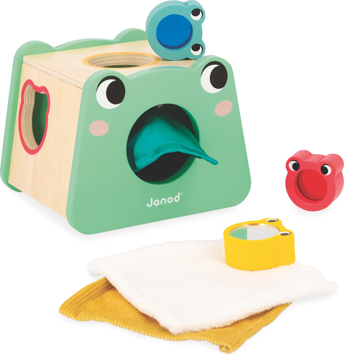 Developmental Activity Box - 12 Months