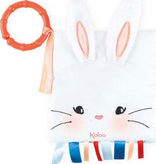 The Rabbit In Love Soft Book