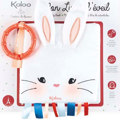 The Rabbit In Love Soft Book