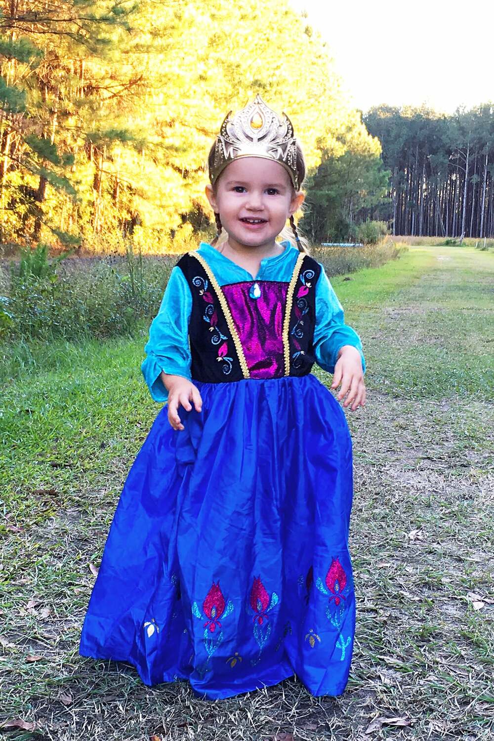 Scandinavian Princess - Medium