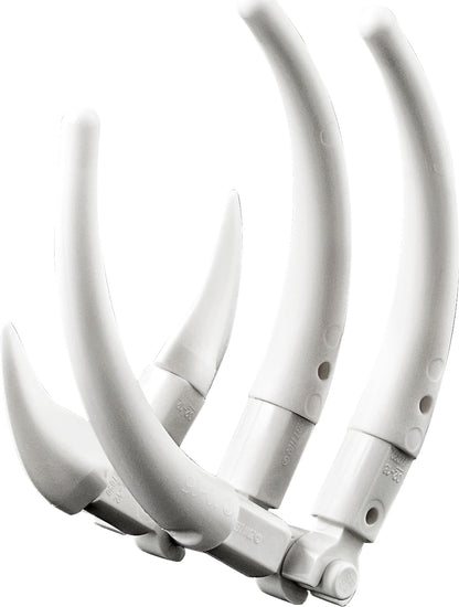 Mighty Dinosaurs Creator