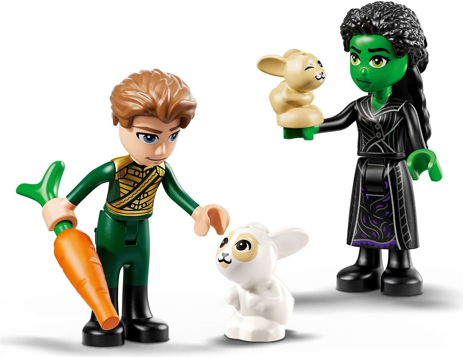 LEGO Wicked: Elphaba's Retreat