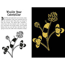 Scratch and Sketch Butterflies & Friends