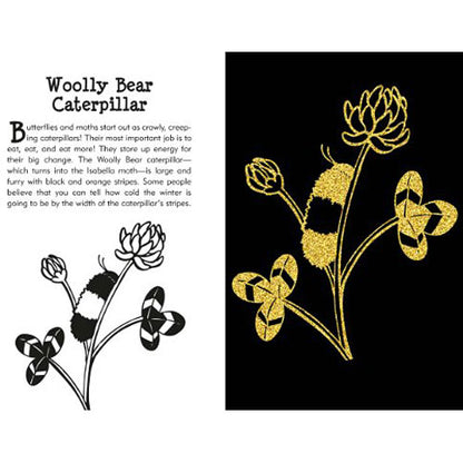 Scratch and Sketch Butterflies & Friends