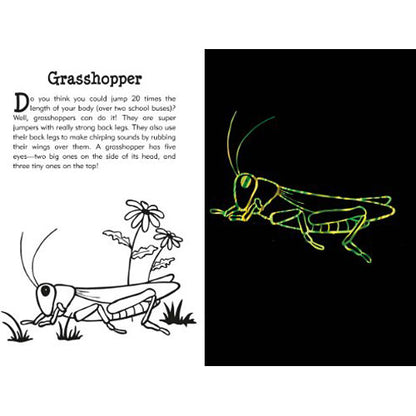 Scratch and Sketch Butterflies & Friends