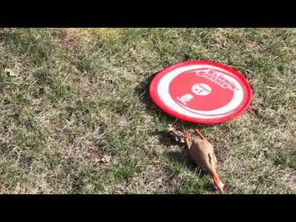 Flickin' Chicken Game