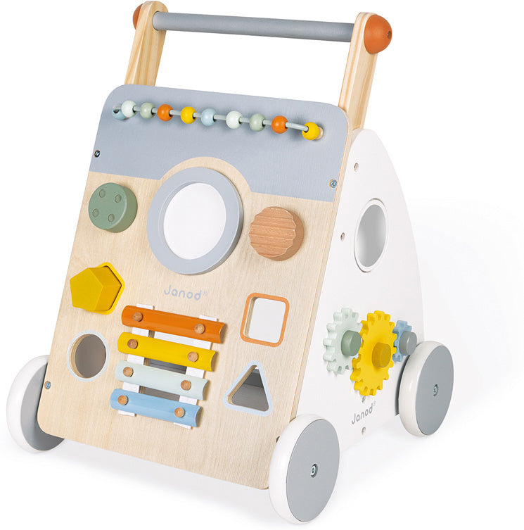 Sweet Cocoon Multi-Activity Baby Walker