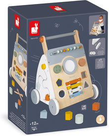 Sweet Cocoon Multi-Activity Baby Walker