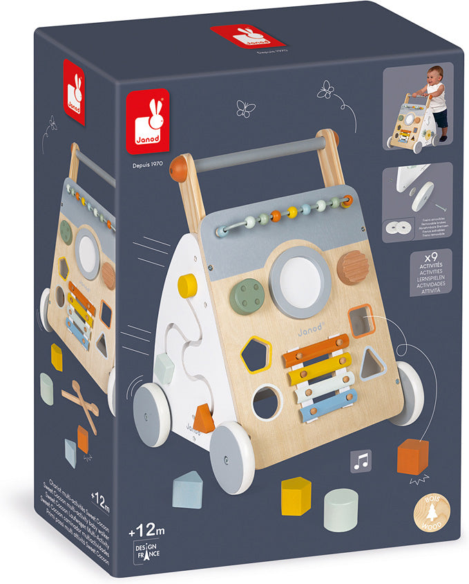 Sweet Cocoon Multi-Activity Baby Walker