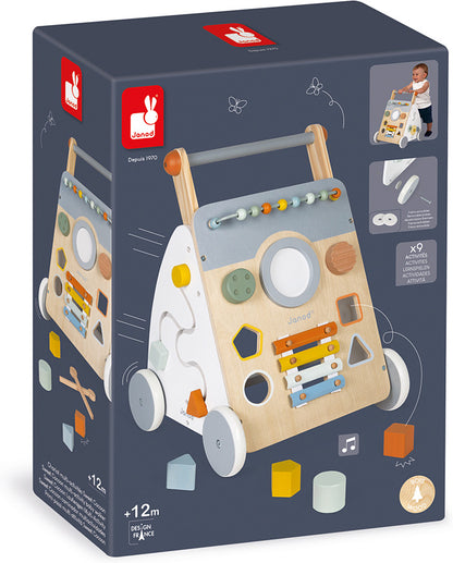 Sweet Cocoon Multi-Activity Baby Walker