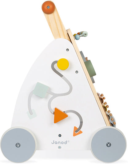 Sweet Cocoon Multi-Activity Baby Walker