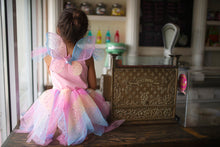 Rainbow Fairy Dress & Wings Size 5-6