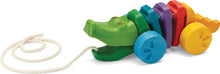Rainbow Alligator Pull Toy