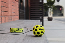 Waboba BounceBack Moonball Leash