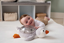 Cloud b Tranquil Penguin