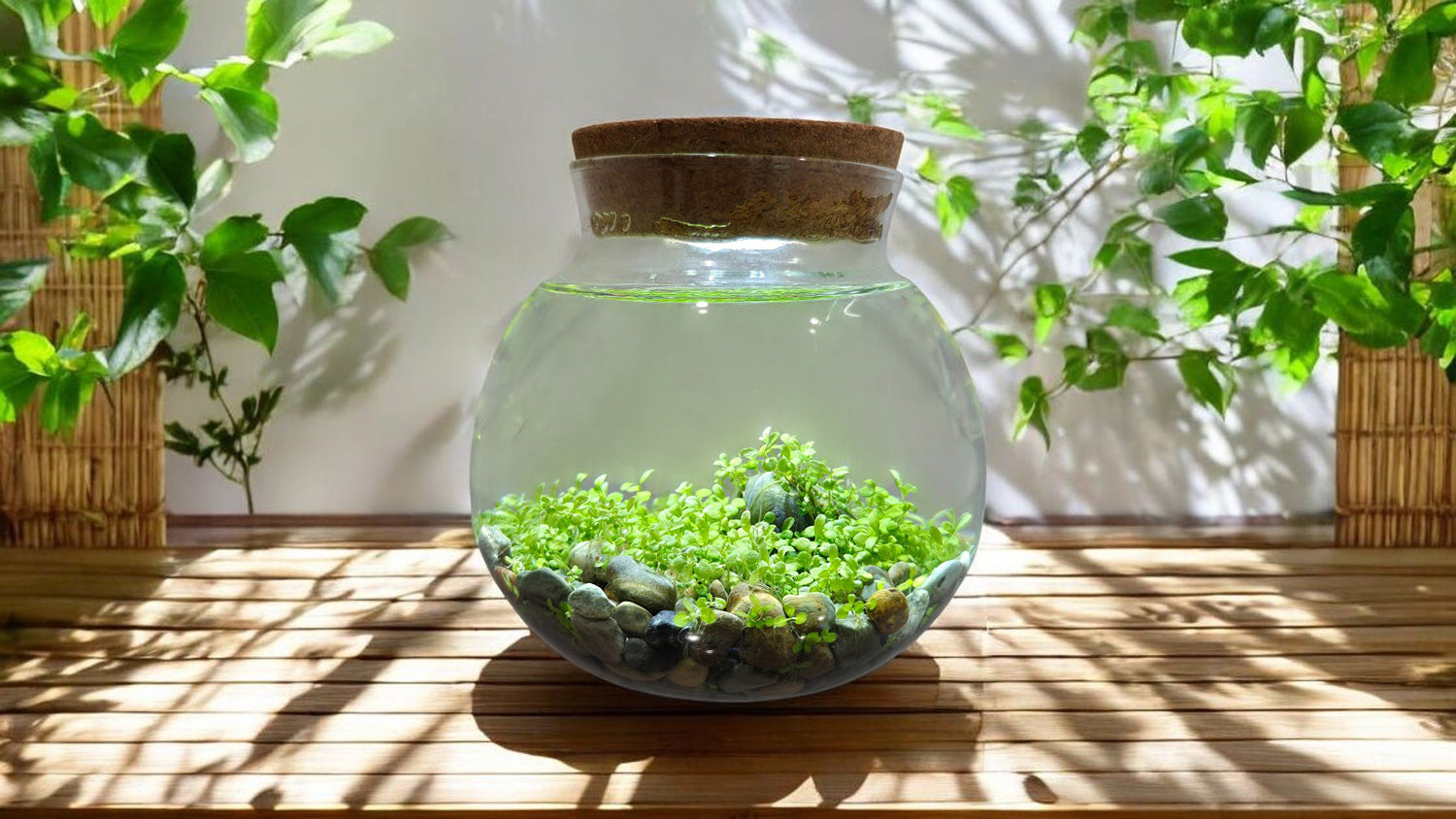 WaterPlants - Create Your Own Aquascape