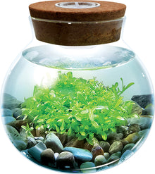 WaterPlants - Create Your Own Aquascape