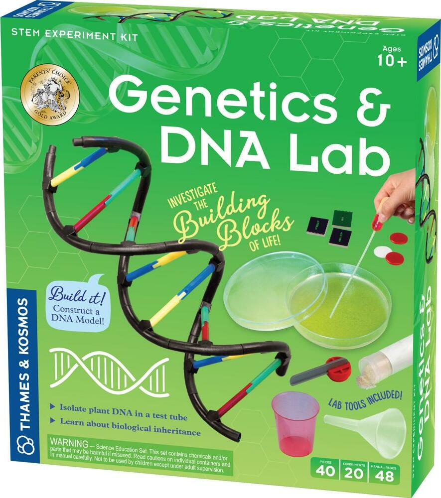 Genetics and DNA Lab