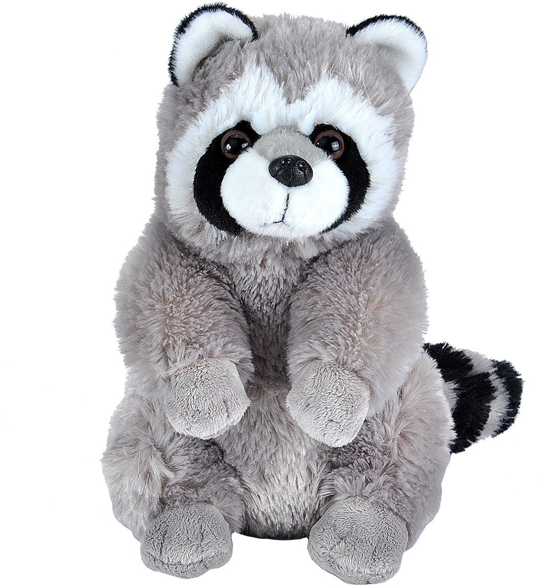 Raccoon 12"