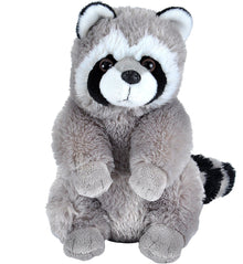 Raccoon 12"