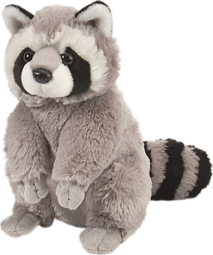 Raccoon 12"